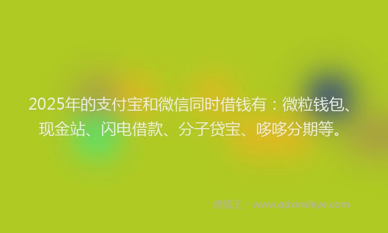 2025年的支付宝和微信同时借钱有：微粒钱包、现金站、闪电借款、分子贷宝、哆哆分期等。