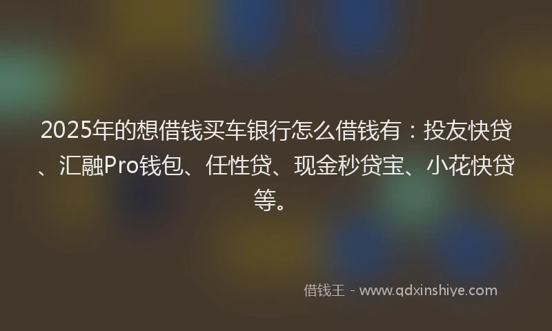 2025年的想借钱买车银行怎么借钱有：投友快贷、汇融Pro钱包、任性贷、现金秒贷宝、小花快贷等。