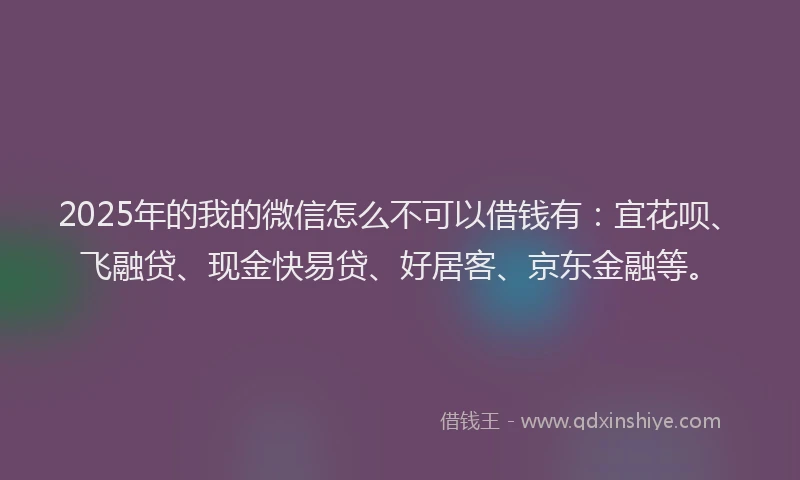 2025年的我的微信怎么不可以借钱有：宜花呗、飞融贷、现金快易贷、好居客、京东金融等。