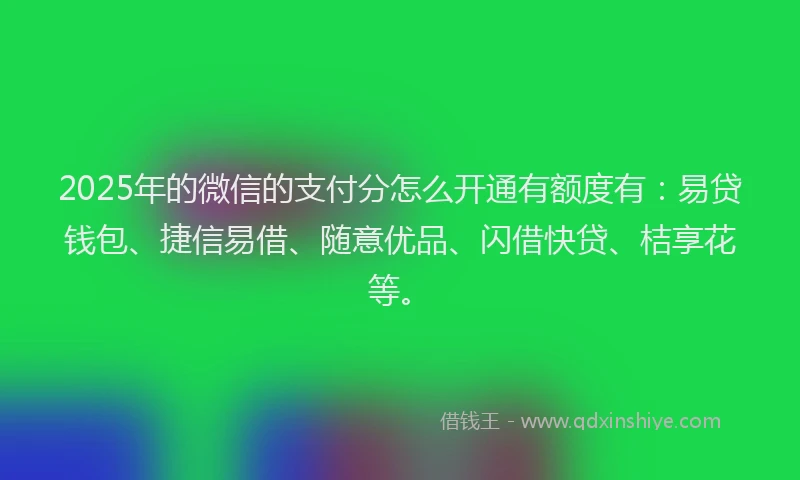 2025年的微信的支付分怎么开通有额度有：易贷钱包、捷信易借、随意优品、闪借快贷、桔享花等。
