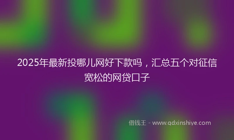 2025年最新投哪儿网好下款吗，汇总五个对征信宽松的网贷口子