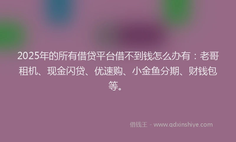2025年的所有借贷平台借不到钱怎么办有：老哥租机、现金闪贷、优速购、小金鱼分期、财钱包等。