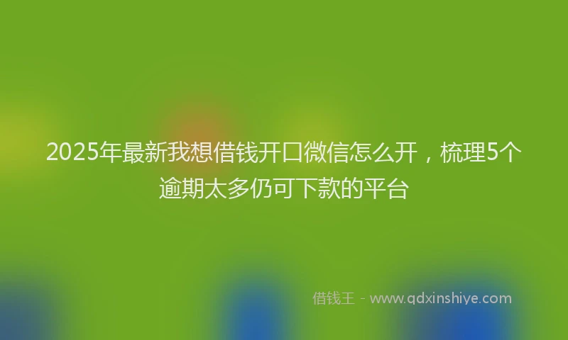 2025年最新我想借钱开口微信怎么开，梳理5个逾期太多仍可下款的平台