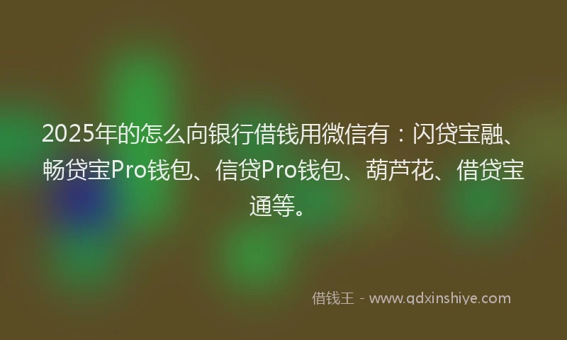 2025年的怎么向银行借钱用微信有：闪贷宝融、畅贷宝Pro钱包、信贷Pro钱包、葫芦花、借贷宝通等。