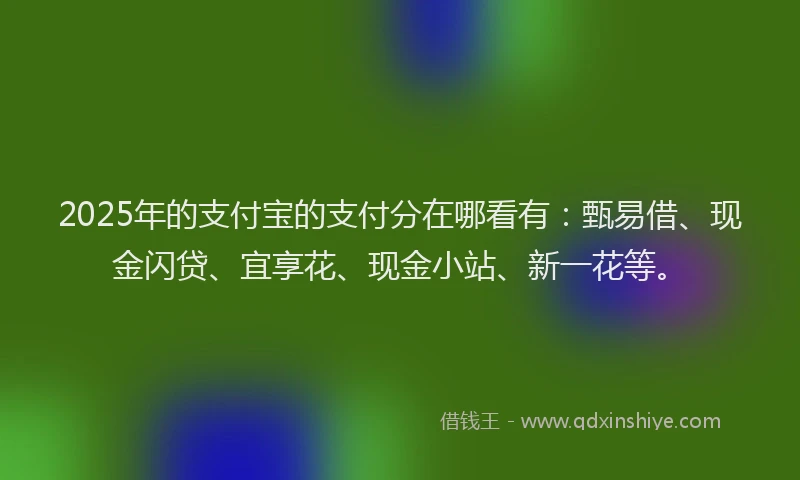 2025年的支付宝的支付分在哪看有：甄易借、现金闪贷、宜享花、现金小站、新一花等。