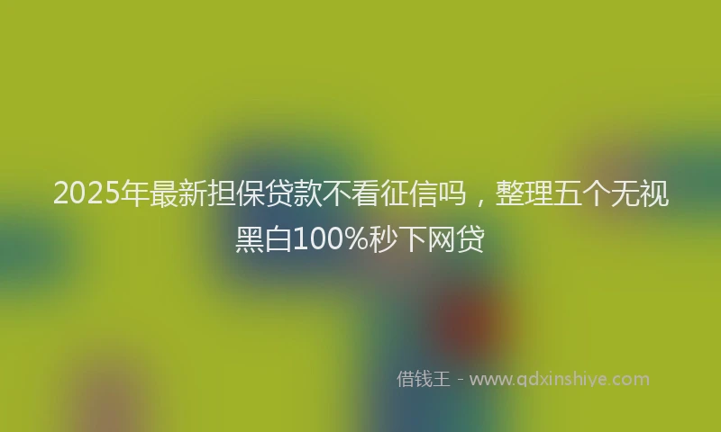 2025年最新担保贷款不看征信吗，整理五个无视黑白100%秒下网贷