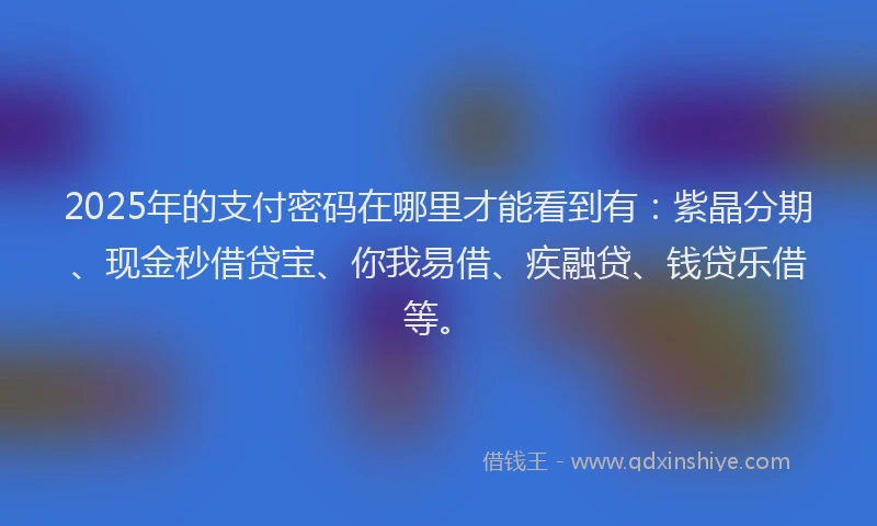 2025年的支付密码在哪里才能看到有：紫晶分期、现金秒借贷宝、你我易借、疾融贷、钱贷乐借等。