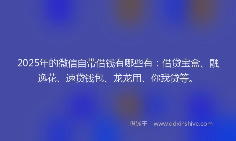 2025年的微信自带借钱有哪些有：借贷宝盒、融逸花、速贷钱包、龙龙用、你我贷等。