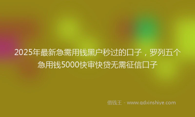 2025年最新急需用钱黑户秒过的口子，罗列五个急用钱5000快审快贷无需征信口子