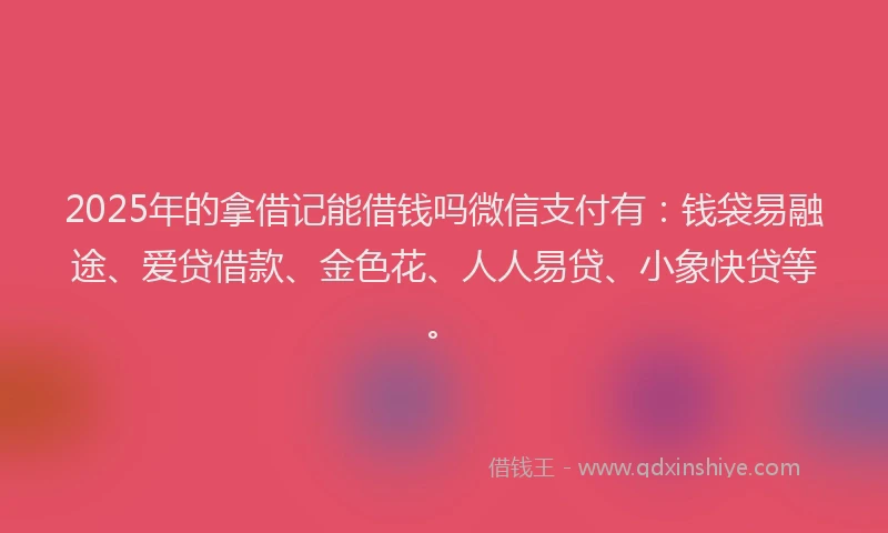 2025年的拿借记能借钱吗微信支付有：钱袋易融途、爱贷借款、金色花、人人易贷、小象快贷等。