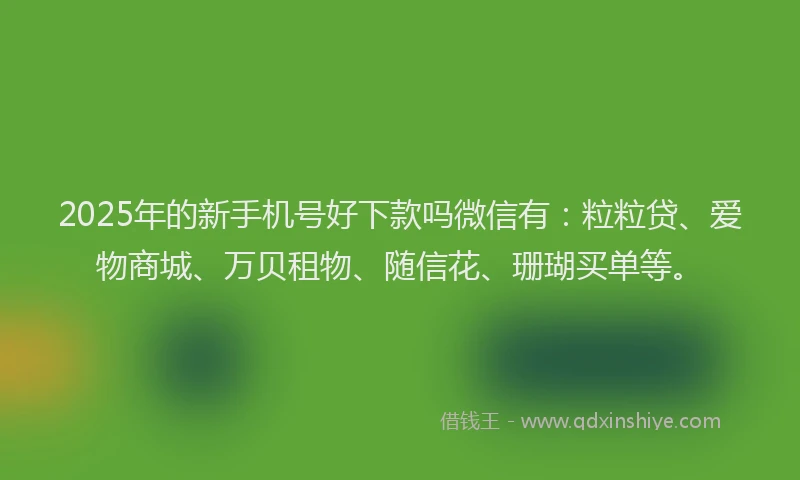 2025年的新手机号好下款吗微信有：粒粒贷、爱物商城、万贝租物、随信花、珊瑚买单等。