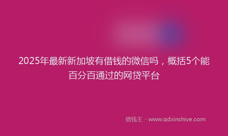 2025年最新新加坡有借钱的微信吗，概括5个能百分百通过的网贷平台