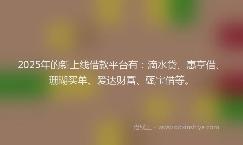 2025年的新上线借款平台有：滴水贷、惠享借、珊瑚买单、爱达财富、甄宝借等。