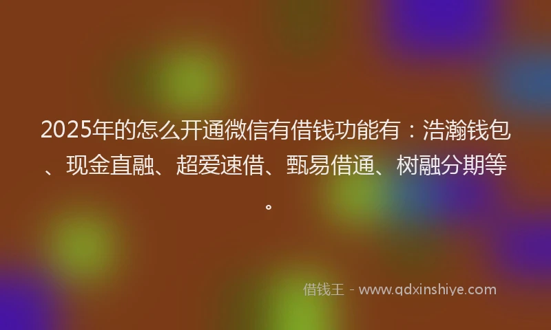 2025年的怎么开通微信有借钱功能有：浩瀚钱包、现金直融、超爱速借、甄易借通、树融分期等。