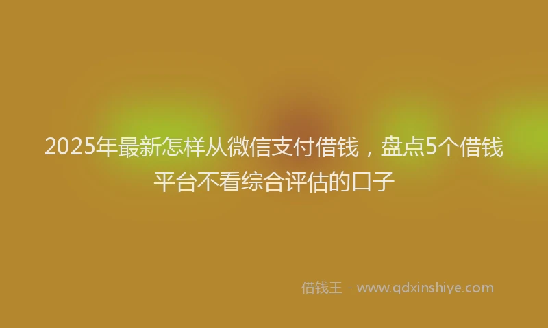 2025年最新怎样从微信支付借钱，盘点5个借钱平台不看综合评估的口子