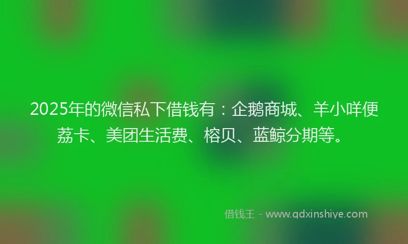 2025年的微信私下借钱有：企鹅商城、羊小咩便荔卡、美团生活费、榕贝、蓝鲸分期等。