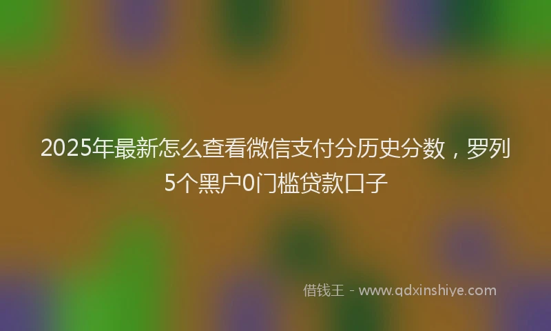 2025年最新怎么查看微信支付分历史分数，罗列5个黑户0门槛贷款口子