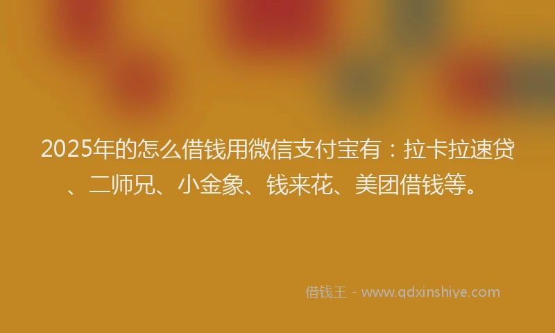 2025年的怎么借钱用微信支付宝有：拉卡拉速贷、二师兄、小金象、钱来花、美团借钱等。