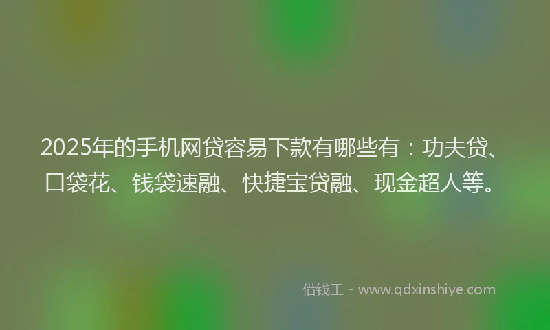 2025年的手机网贷容易下款有哪些有：功夫贷、口袋花、钱袋速融、快捷宝贷融、现金超人等。