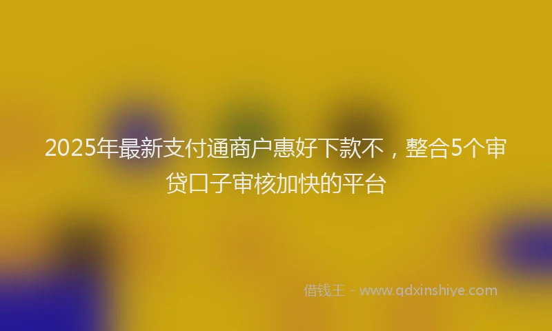 2025年最新支付通商户惠好下款不，整合5个审贷口子审核加快的平台