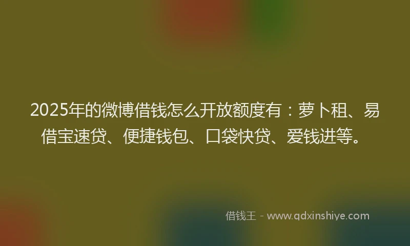 2025年的微博借钱怎么开放额度有：萝卜租、易借宝速贷、便捷钱包、口袋快贷、爱钱进等。