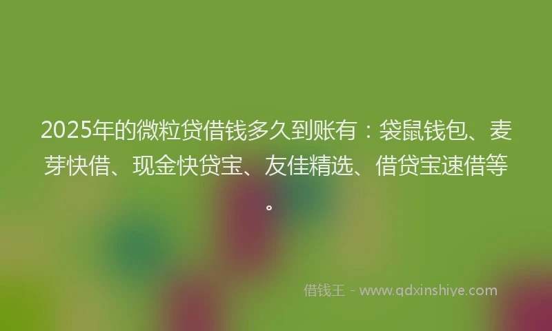 2025年的微粒贷借钱多久到账有：袋鼠钱包、麦芽快借、现金快贷宝、友佳精选、借贷宝速借等。