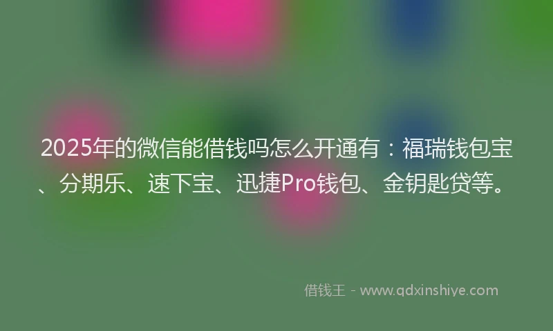 2025年的微信能借钱吗怎么开通有：福瑞钱包宝、分期乐、速下宝、迅捷Pro钱包、金钥匙贷等。
