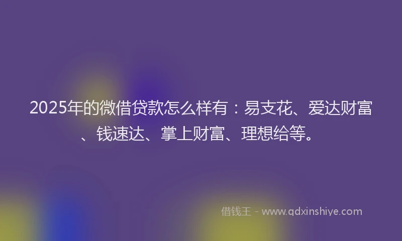 2025年的微借贷款怎么样有：易支花、爱达财富、钱速达、掌上财富、理想给等。