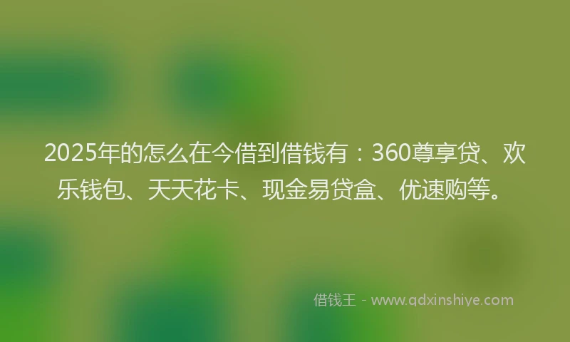 2025年的怎么在今借到借钱有：360尊享贷、欢乐钱包、天天花卡、现金易贷盒、优速购等。