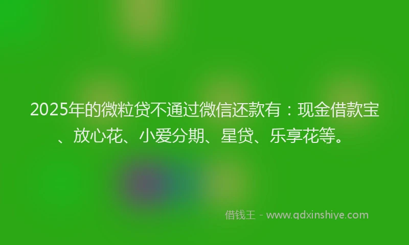 2025年的微粒贷不通过微信还款有：现金借款宝、放心花、小爱分期、星贷、乐享花等。