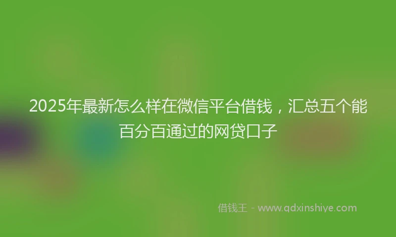 2025年最新怎么样在微信平台借钱，汇总五个能百分百通过的网贷口子