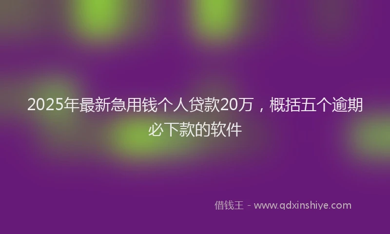 2025年最新急用钱个人贷款20万，概括五个逾期必下款的软件