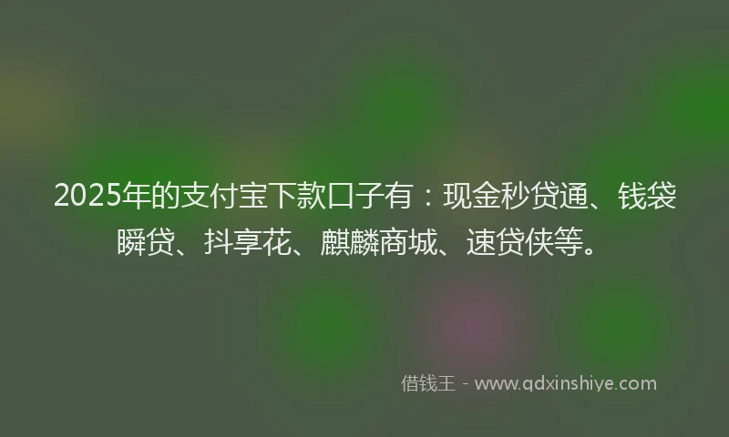 2025年的支付宝下款口子有：现金秒贷通、钱袋瞬贷、抖享花、麒麟商城、速贷侠等。
