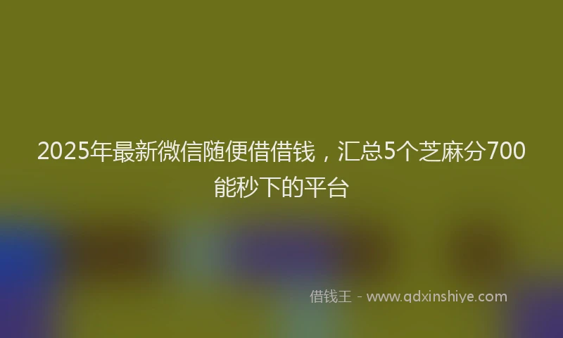 2025年最新微信随便借借钱，汇总5个芝麻分700能秒下的平台