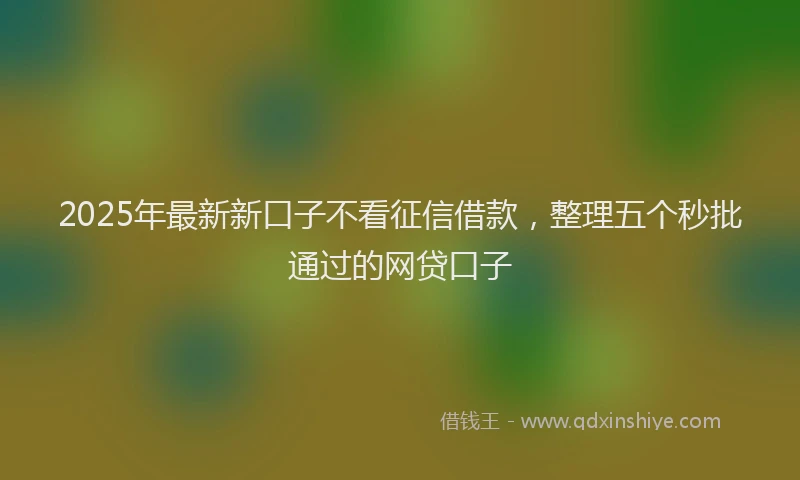 2025年最新新口子不看征信借款，整理五个秒批通过的网贷口子