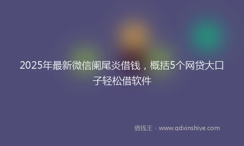 2025年最新微信阑尾炎借钱，概括5个网贷大口子轻松借软件