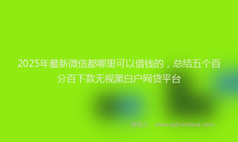 2025年最新微信都哪里可以借钱的，总结五个百分百下款无视黑白户网贷平台