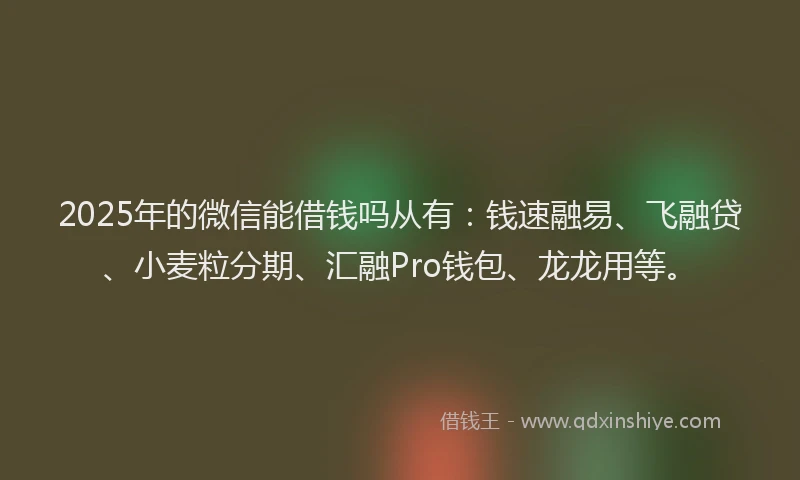 2025年的微信能借钱吗从有：钱速融易、飞融贷、小麦粒分期、汇融Pro钱包、龙龙用等。
