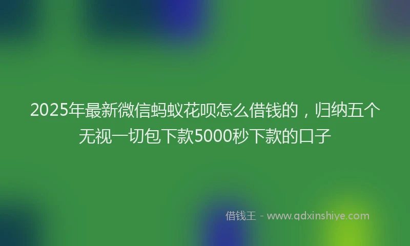 2025年最新微信蚂蚁花呗怎么借钱的，归纳五个无视一切包下款5000秒下款的口子