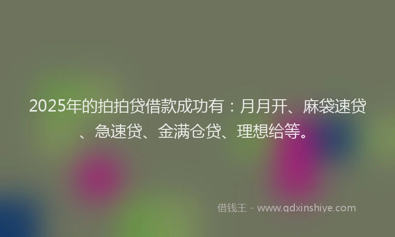 2025年的拍拍贷借款成功有：月月开、麻袋速贷、急速贷、金满仓贷、理想给等。
