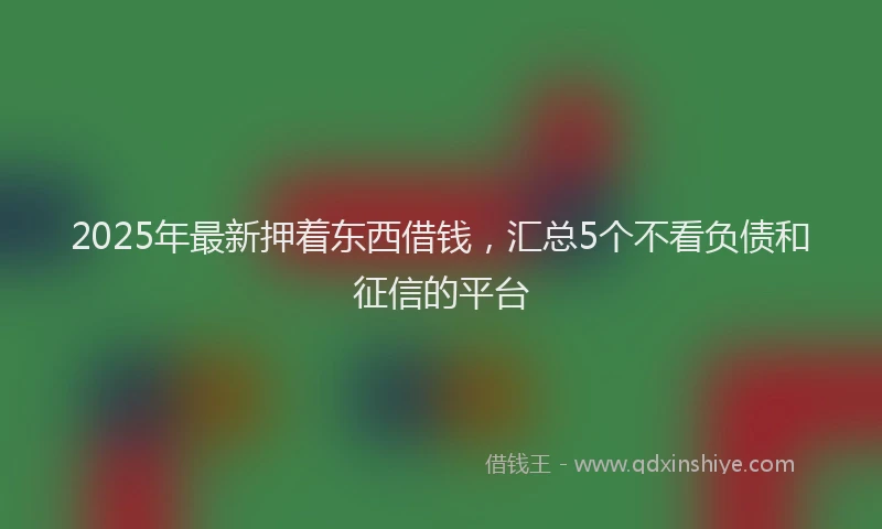 2025年最新押着东西借钱，汇总5个不看负债和征信的平台