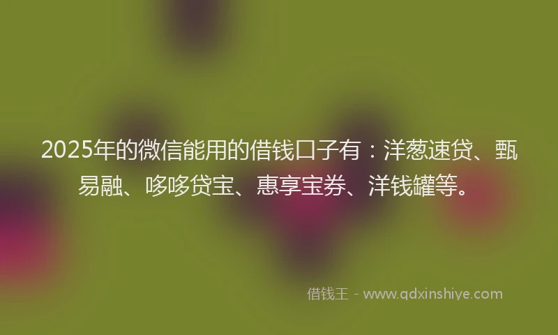 2025年的微信能用的借钱口子有：洋葱速贷、甄易融、哆哆贷宝、惠享宝券、洋钱罐等。