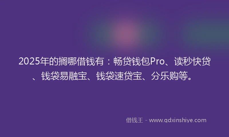 2025年的搁哪借钱有：畅贷钱包Pro、读秒快贷、钱袋易融宝、钱袋速贷宝、分乐购等。