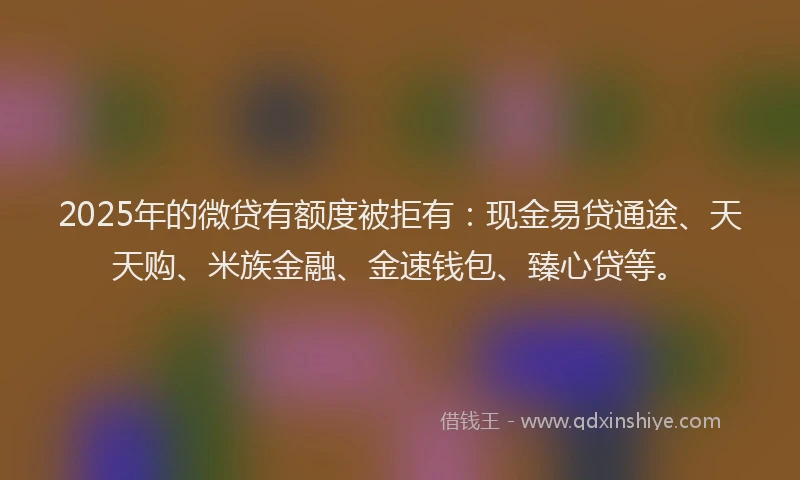 2025年的微贷有额度被拒有：现金易贷通途、天天购、米族金融、金速钱包、臻心贷等。