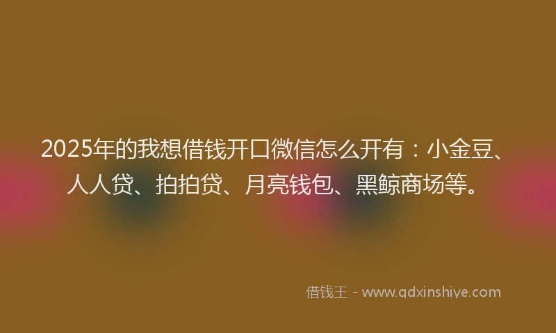 2025年的我想借钱开口微信怎么开有：小金豆、人人贷、拍拍贷、月亮钱包、黑鲸商场等。