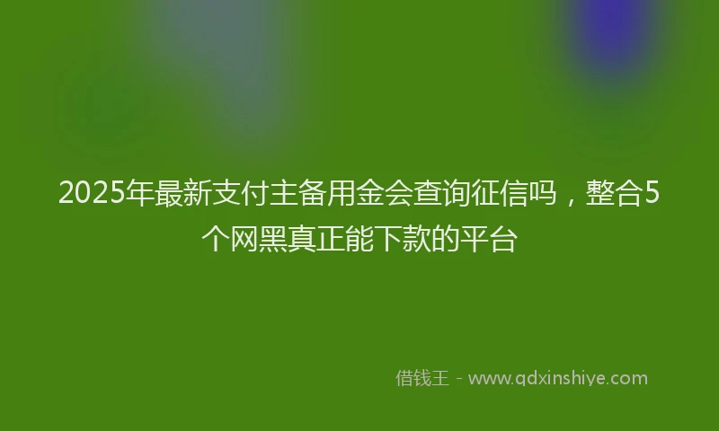 2025年最新支付主备用金会查询征信吗，整合5个网黑真正能下款的平台