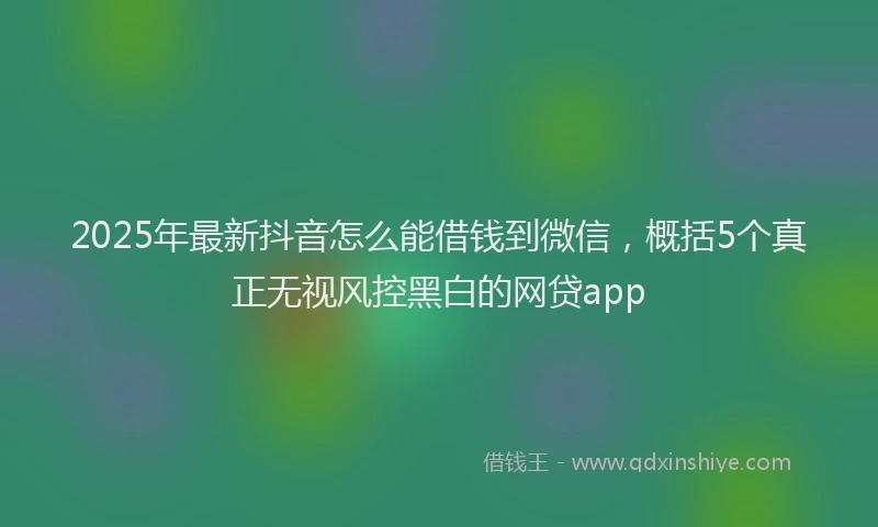 2025年最新抖音怎么能借钱到微信，概括5个真正无视风控黑白的网贷app