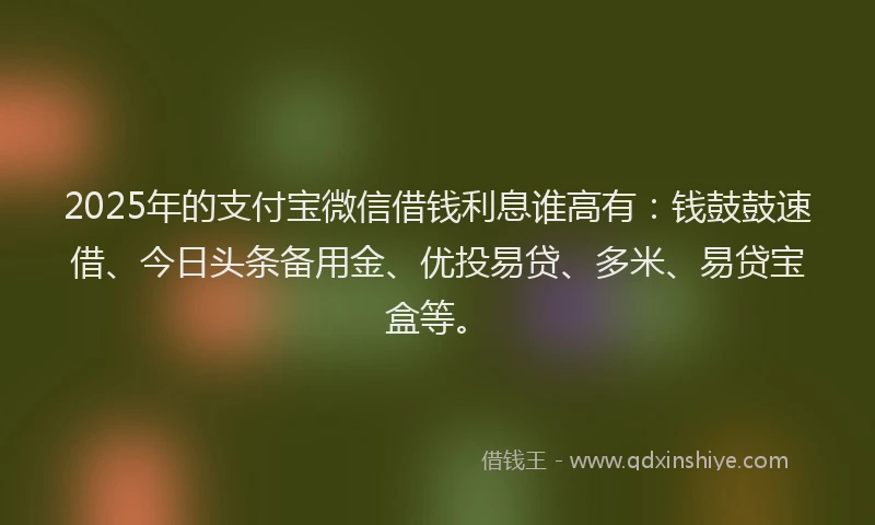 2025年的支付宝微信借钱利息谁高有：钱鼓鼓速借、今日头条备用金、优投易贷、多米、易贷宝盒等。