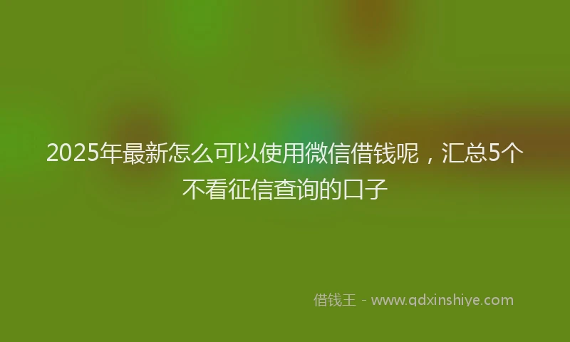 2025年最新怎么可以使用微信借钱呢，汇总5个不看征信查询的口子