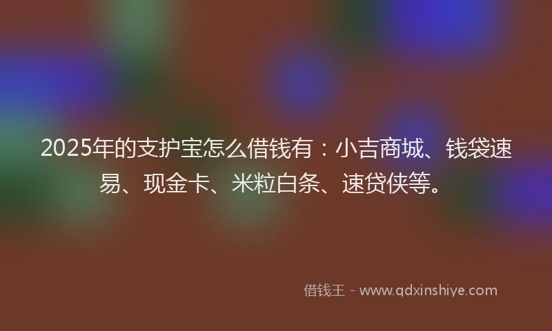 2025年的支护宝怎么借钱有：小吉商城、钱袋速易、现金卡、米粒白条、速贷侠等。